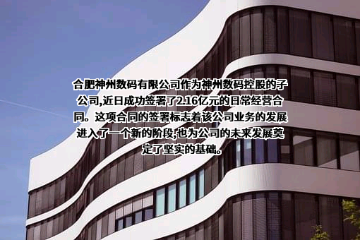 合肥神州数码有限公司