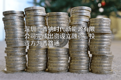 深圳市普钠时代新能源有限公司