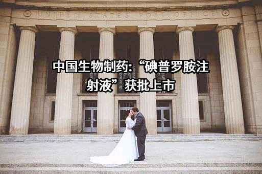 中国生物制药有限公司