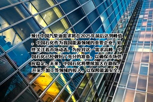 中国石油化工集团有限公司