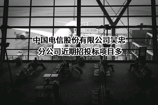 中国电信股份有限公司吴忠分公司