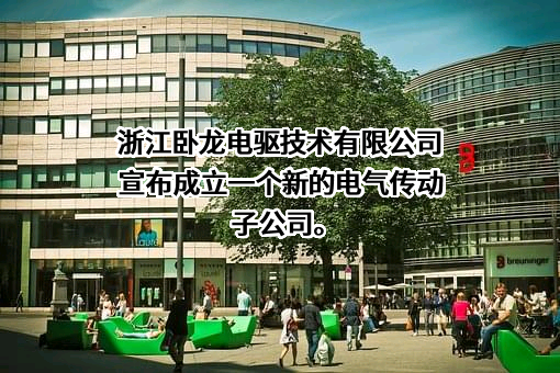 卧龙电气驱动集团股份有限公司