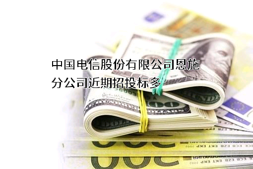 中国电信股份有限公司恩施分公司