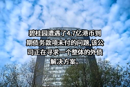 碧桂园控股有限公司