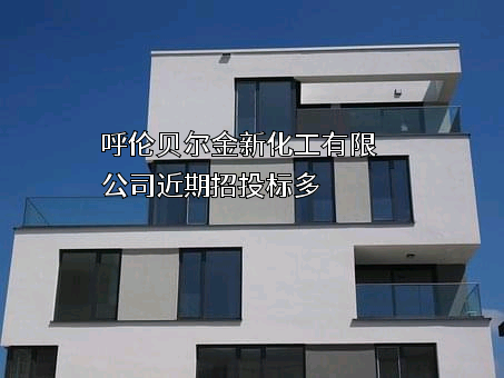 呼伦贝尔金新化工有限公司