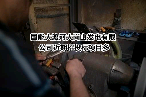 国能大渡河大岗山发电有限公司