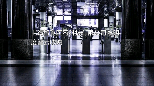 上海智覓医药科技有限公司