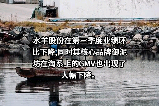 水羊集团股份有限公司