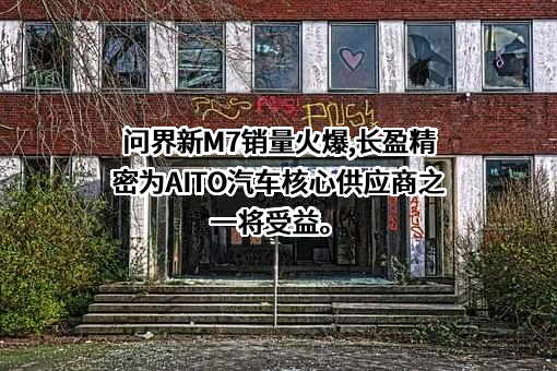 深圳市长盈精密技术股份有限公司