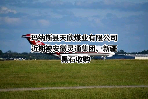 玛纳斯县天欣煤业有限公司近期被安徽灵通集团、新疆黑石收购