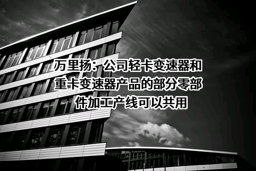 浙江万里扬股份有限公司