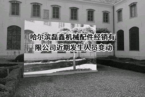 哈尔滨磊鑫机械配件经销有限公司
