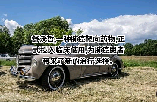 迪哲（江苏）医药股份有限公司