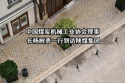 陕西煤业化工集团有限责任公司