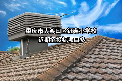 重庆市大渡口区钰鑫小学校
