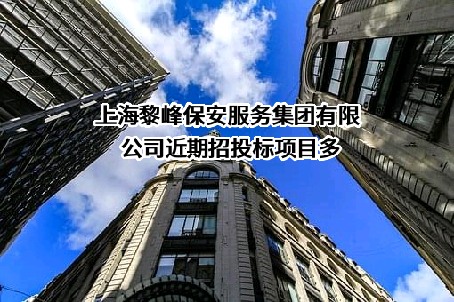 上海黎峰保安服务集团有限公司