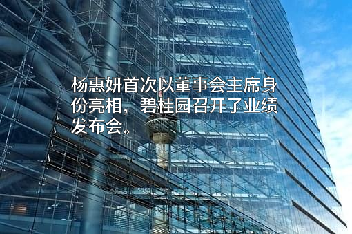 碧桂园控股有限公司