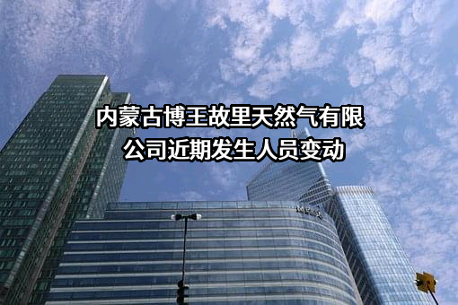 内蒙古博王故里天然气有限公司