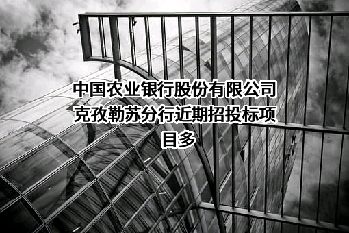 中国农业银行股份有限公司克孜勒苏分行