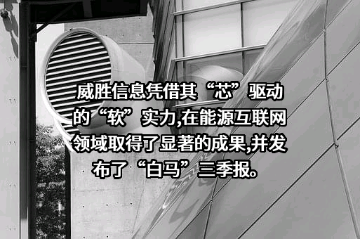 威胜信息技术股份有限公司