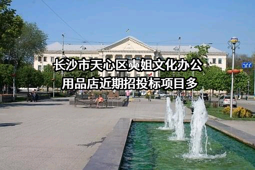 长沙市天心区奭姐文化办公用品店