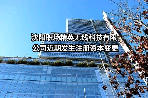 沈阳职场精英无线科技有限公司