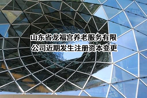山东省龙福宫养老服务有限公司