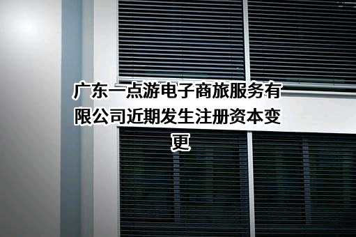 广东一点游电子商旅服务有限公司