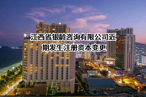 江西省银龄咨询有限公司