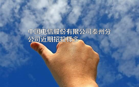 中国电信股份有限公司泰州分公司