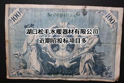 湖口松毛水暖器材有限公司近期招投标项目多