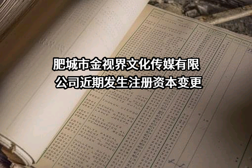 肥城市金视界文化传媒有限公司