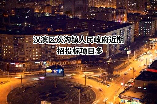 汉滨区茨沟镇人民政府近期招投标项目多