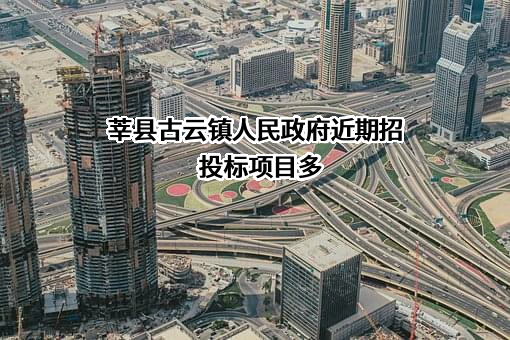 莘县古云镇人民政府