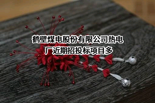 鹤壁煤电股份有限公司热电厂
