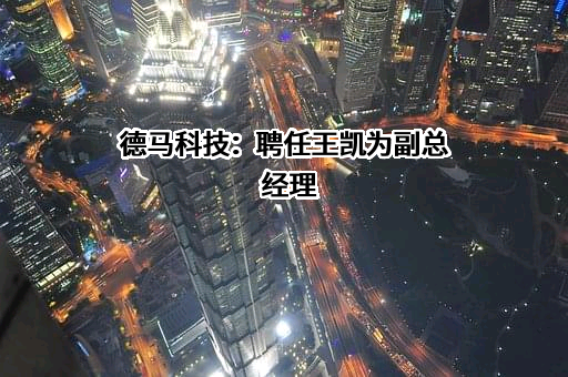 德马科技：聘任王凯为副总经理