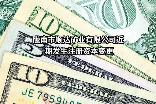 陇南市顺达矿业有限公司