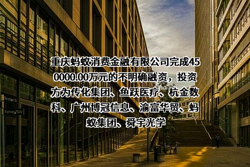 重庆蚂蚁消费金融有限公司