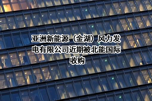 亚洲新能源（金湖）风力发电有限公司
