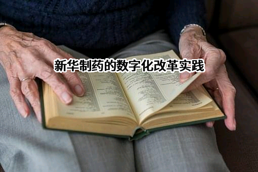 山东新华制药股份有限公司