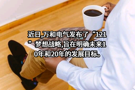 广东万和新电气股份有限公司