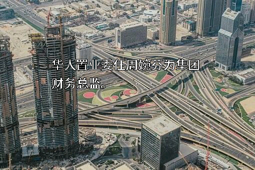 华人置业集团有限公司