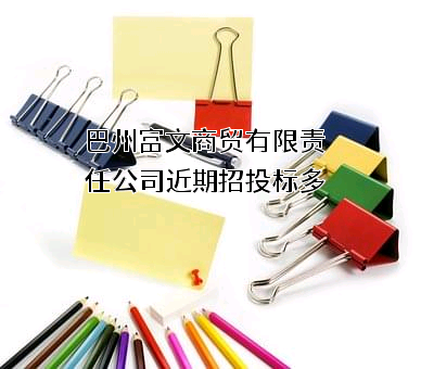 巴州富文商贸有限责任公司