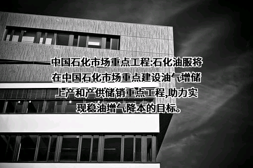 中石化石油工程技术服务股份有限公司