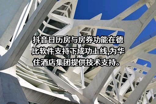 德比软件（上海）有限公司
