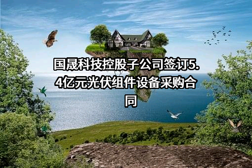 安徽国晟新能源科技有限公司