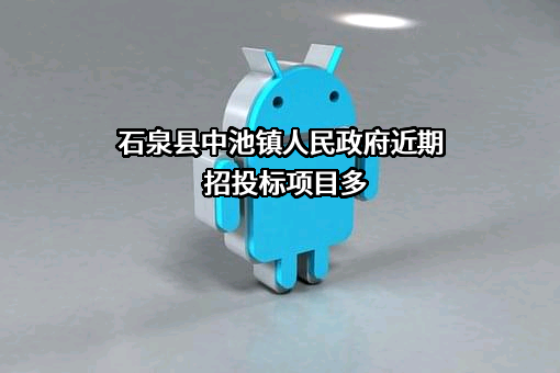 石泉县中池镇人民政府