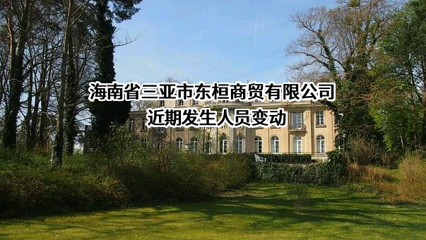 海南省三亚市东桓商贸有限公司
