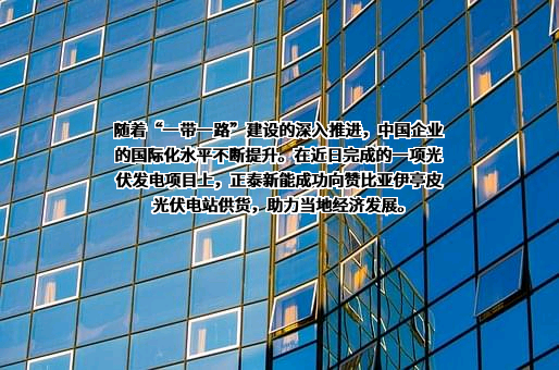 上海正泰新能电源系统有限责任公司