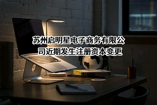 苏州启明星电子商务有限公司